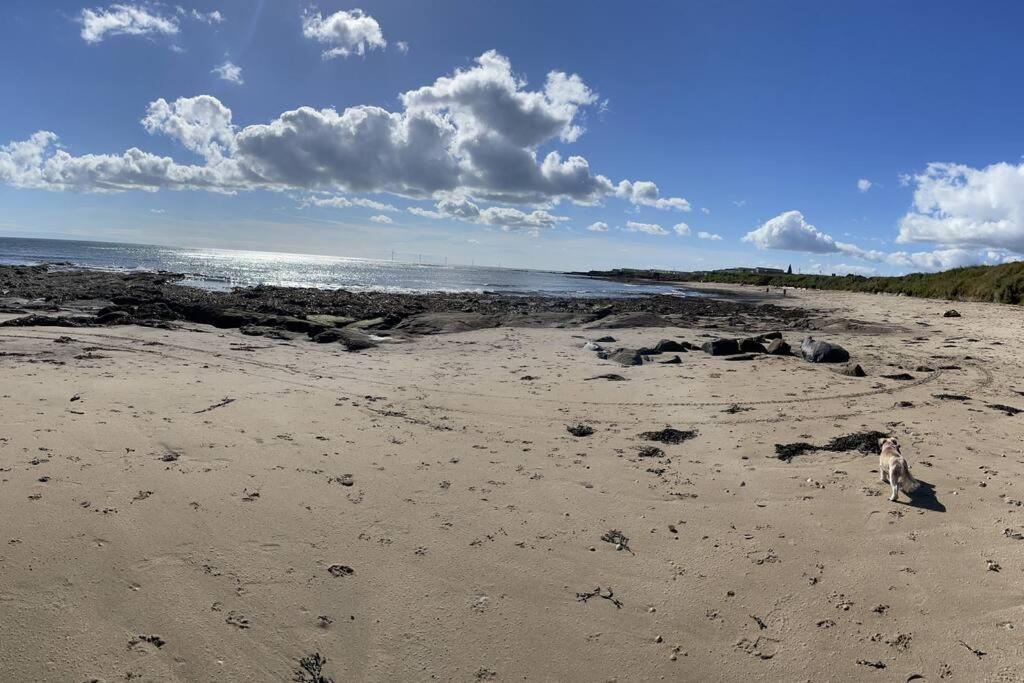 The Fairways Hideaway - Northumberland Villa Newbiggin-by-the-Sea Exteriör bild